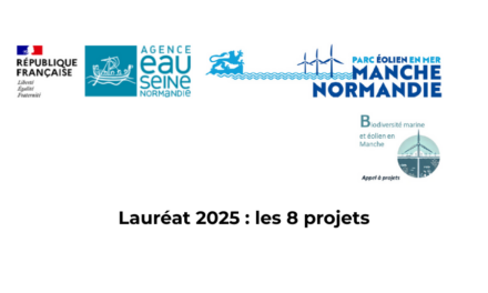 Lauréat 2025 : huit projets de recherche lauréats dans le cadre du premier appel à projets « Biodiversité marine et éolien en Manche
