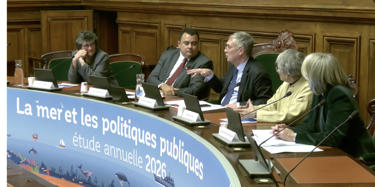 Nathalie Mercier-Perrin, présidente du Cluster Maritime Français : « on manque peut-être d&rsquo;un chef d&rsquo;orchestre ! »