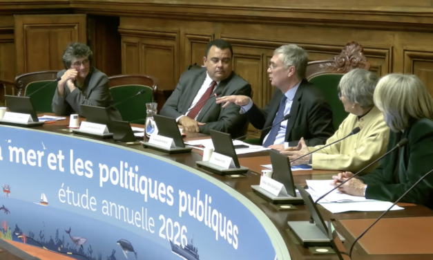 Nathalie Mercier-Perrin, présidente du Cluster Maritime Français : « on manque peut-être d&rsquo;un chef d&rsquo;orchestre ! »