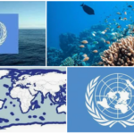 Entrée en vigueur de l&rsquo;accord dit « BBNJ » : traité sur la protection de la biodiversité