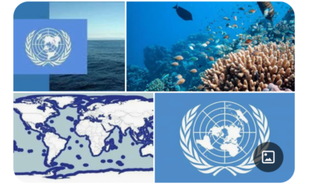 Entrée en vigueur de l&rsquo;accord dit « BBNJ » : traité sur la protection de la Haute mer