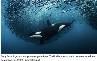 Le grand jour pour la sauvegarde de l&rsquo;Océan