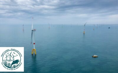 Parc en mer Iberdrola de Saint-Brieuc : Appel à projets « Biodiversité marine »