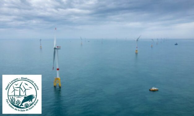 Parc en mer Iberdrola de Saint-Brieuc : Appel à projets « Biodiversité marine »