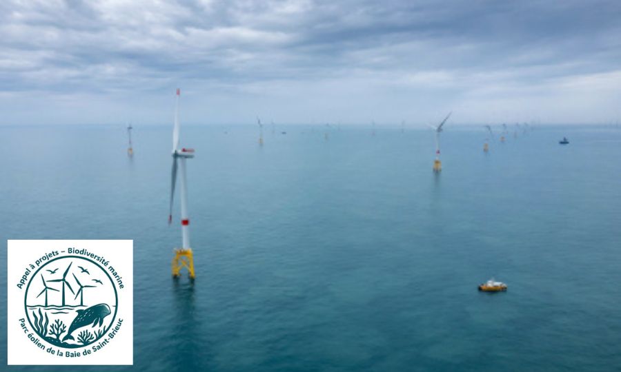 Parc en mer Iberdrola de Saint-Brieuc : Appel à projets « Biodiversité marine »