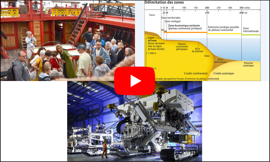 Avez-vous manqué les vidéos de la première semaine de 2026 ?