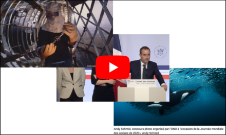 Peut-être avez-vous manqué les vidéos de la semaine !