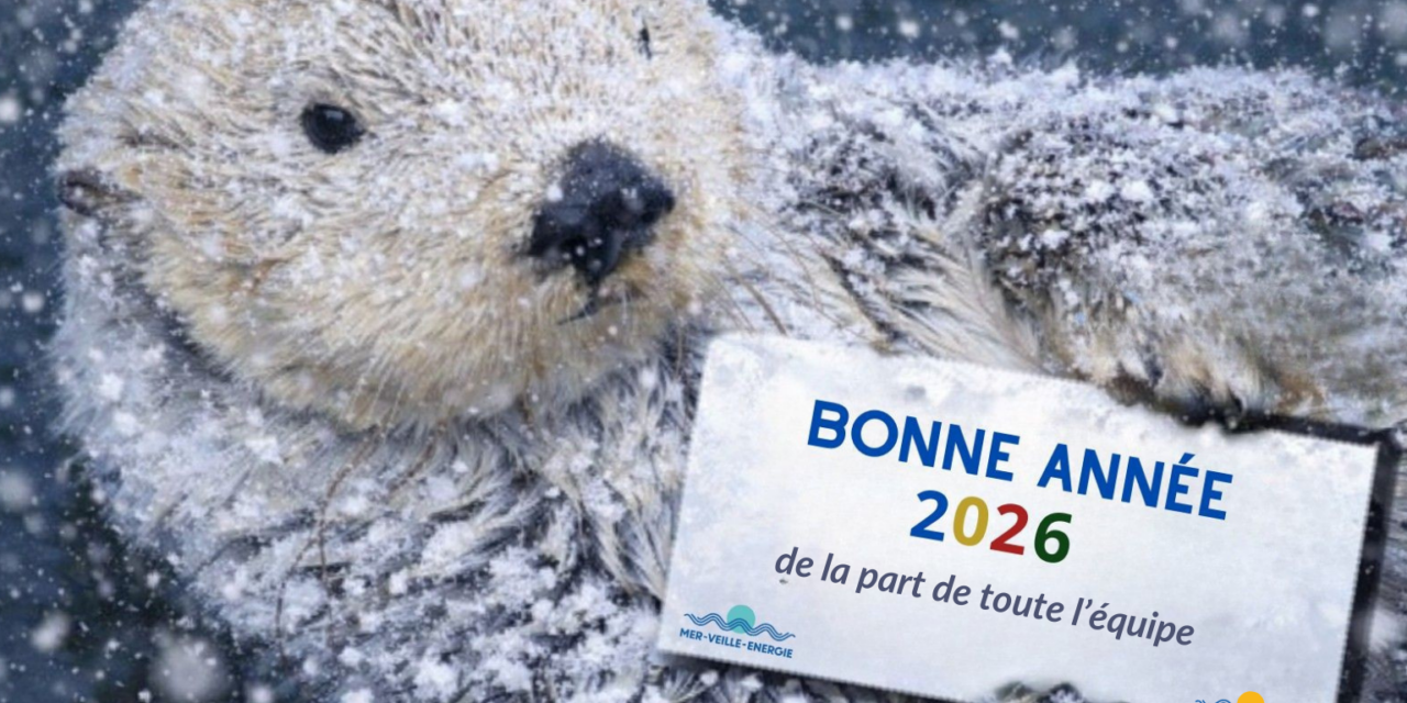 Conseil d&rsquo;Etat : 2e conférence de l&rsquo;Étude annuelle 2026 « la mer et les politiques publiques » « Enjeux écologiques et économiques »