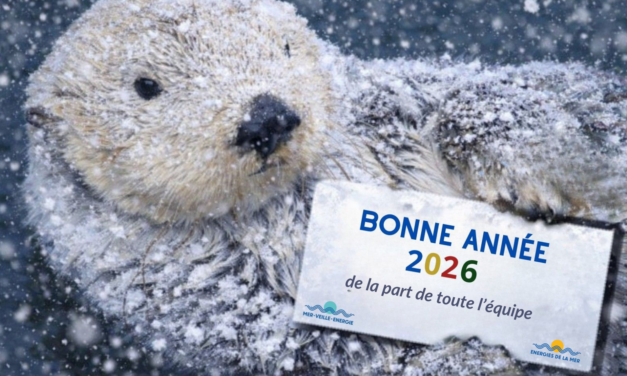 Conseil d&rsquo;Etat : 2e conférence de l&rsquo;Étude annuelle 2026 « la mer et les politiques publiques » « Enjeux écologiques et économiques »