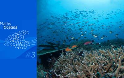 Maths & Océans #3 : Modélisations mathématiques de la biodiversité marine