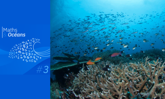 Maths & Océans #3 : Modélisations mathématiques de la biodiversité marine