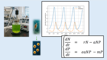 Maths & Océans #3 : Modélisations mathématiques de la biodiversité marine