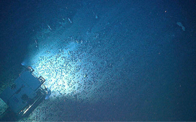 La NOAA accélère le calendrier d’autorisation des demandes d’exploitation minière des grands fonds marins