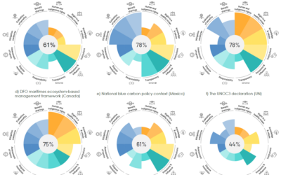 Le premier outil pour évaluer et renforcer l&rsquo;équité dans la gouvernance de l&rsquo;océan