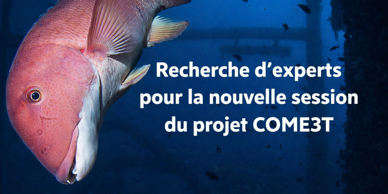 France Energies Marines recherche des volontaires pour le nouveau Comité d&rsquo;expertise du projet COME3T
