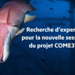 France Energies Marines recherche des volontaires pour le nouveau Comité d&rsquo;expertise du projet COME3T