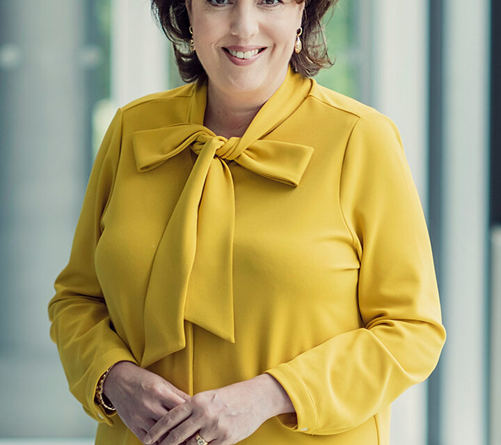 L&rsquo;Allemagne prend une participation de 3,3 milliards d&rsquo;euros dans le réseau de transmission TenneT