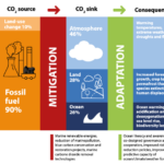 La Commission Océanographique Intergouvernementale de l&rsquo;UNESCO révèle un manque critique de connaissance du processus d&rsquo;absorption et de stockage du carbone par les océans