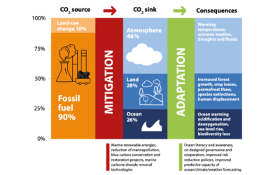 La Commission Océanographique Intergouvernementale (COI) de l&rsquo;UNESCO révèle un manque critique de connaissance du processus d&rsquo;absorption et de stockage du carbone par les océans