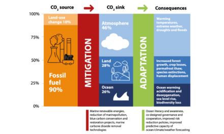 La Commission Océanographique Intergouvernementale (COI) de l&rsquo;UNESCO révèle un manque critique de connaissance du processus d&rsquo;absorption et de stockage du carbone par les océans