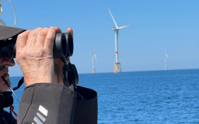 Retour sur la première école d’été en France de l’IFQM organisée en partenariat avec ISBlue