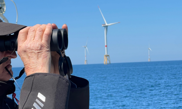 Retour sur la première école d&rsquo;été en France de l&rsquo;IFQM organisée en partenariat avec ISBlue