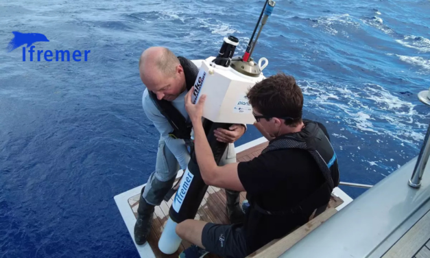 Avec ses profileurs Argo capables de plonger à 6000 mètres, l&rsquo;Ifremer prend le pouls de l&rsquo;Océan jusque dans les abysses