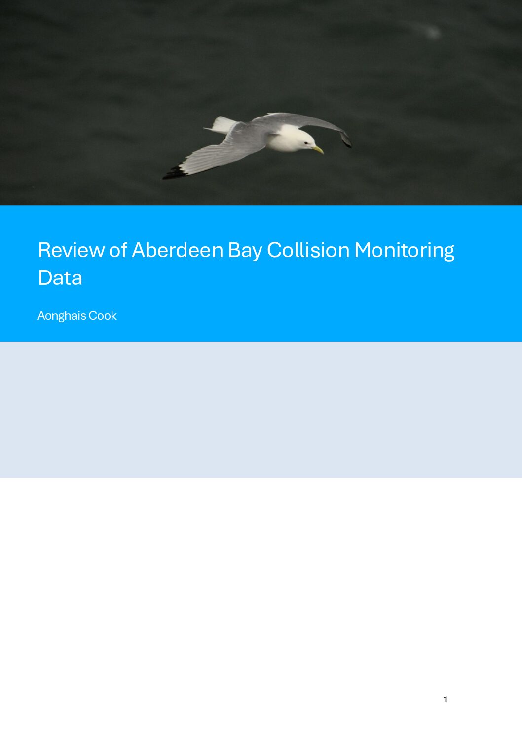 Bonne surprise : l&rsquo;étude menée par Vattenfall et Spoor sur la collision entre oiseaux et éoliennes en mer