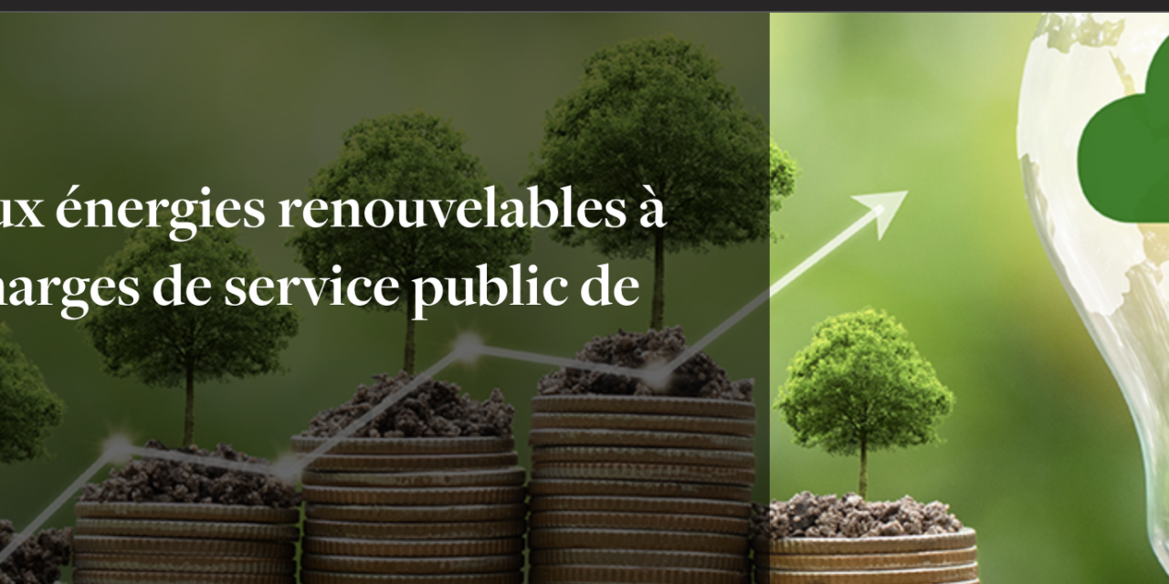 Rapport : La Cour des comptes publie son rapport sur le soutien aux énergies renouvelables