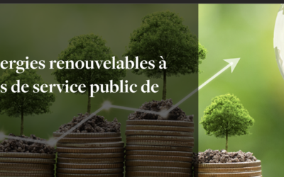 Rapport : La Cour des comptes publie son rapport sur le soutien aux énergies renouvelables