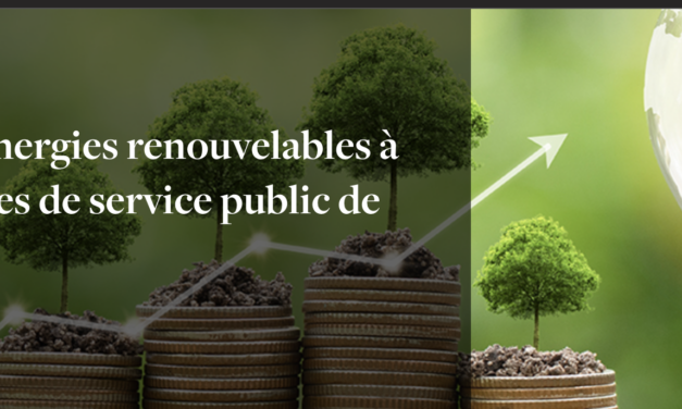 Rapport : La Cour des comptes publie son rapport sur le soutien aux énergies renouvelables