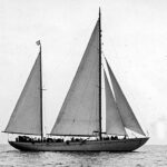 Emouvant : entendu sur le site de la Cité de la mer, l&rsquo;enregistrement d&rsquo;un chant de baleine de 1949