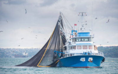 Le Gouvernement propose des mesures pour les pêcheurs, les agriculteurs et les transports routiers