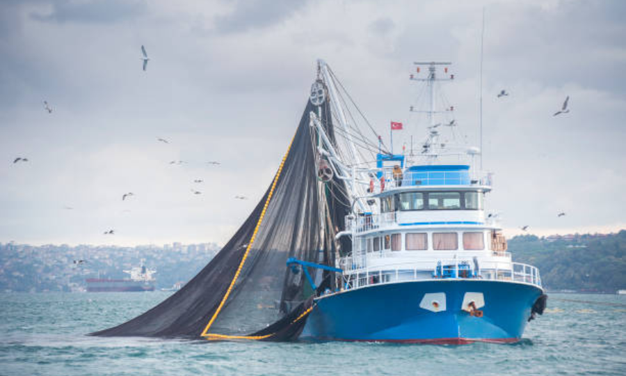 Le Gouvernement propose des mesures pour les pêcheurs, les agriculteurs et les transports routiers