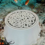 Sperra change la donne avec sa première ancre gravitaire en béton imprimée en 3D