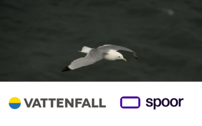 Bonne surprise : l’étude menée par Vattenfall et Spoor sur la collision entre oiseaux et éoliennes en mer