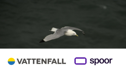 Bonne surprise : l&rsquo;étude menée par Vattenfall et Spoor sur la collision entre oiseaux et éoliennes en mer
