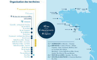 Les solutions de stockage proposées par Entech pour décarbonner trois iles du Ponant sont retenues par EDF. ITV de Jérôme Le Moigne
