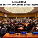 Accord BBNJ : un projet de mandat pour le fonds d&rsquo;affectation spéciale volontaire