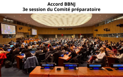 Accord BBNJ : un projet de mandat pour le fonds d&rsquo;affectation spéciale volontaire