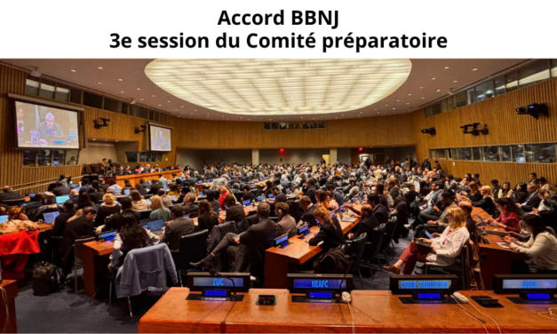 Accord BBNJ : un projet de mandat pour le fonds d&rsquo;affectation spéciale volontaire
