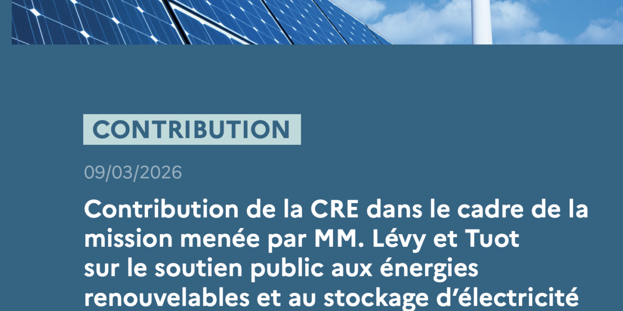 Mission menée par Jean-Bernard Lévy et Thierry Tuot : La CRE publie 25 recommandations