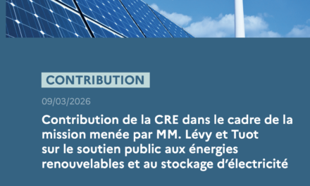 Mission menée par Jean-Bernard Lévy et Thierry Tuot : La CRE publie 25 recommandations