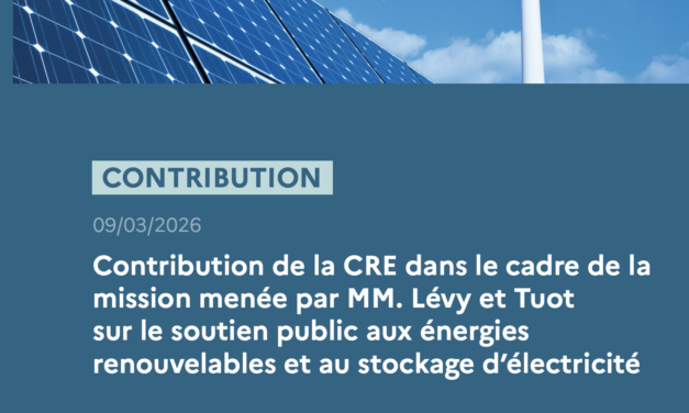 Mission menée par Jean-Bernard Lévy et Thierry Tuot : La CRE publie 25 recommandations