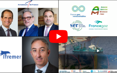 Peut-être avez-vous raté les vidéos de cette semaine !