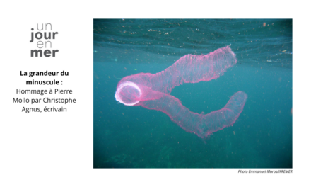 La grandeur du minuscule : hommage à Pierre Mollo par Christophe Agnus