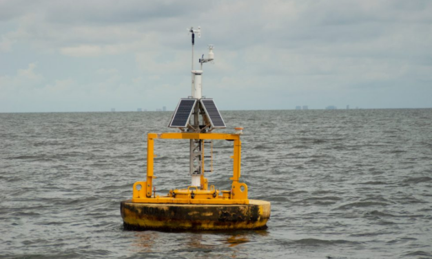 InterConnect Malta lance son premier appel d&rsquo;offres pour la collecte de données météo-océaniques pour le futur parc éolien flottant
