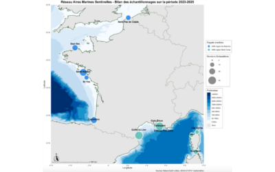 Appel à candidature : EDF et ses partenaires lancent une thèse à partir des Aires Marines Sentinelles