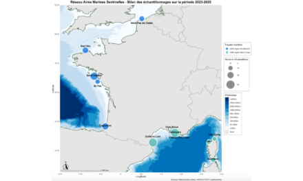 Appel à candidature : EDF et ses partenaires lancent une thèse à partir des Aires Marines Sentinelles