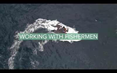 Aves-vous manqué les vidéos de la semaine ?